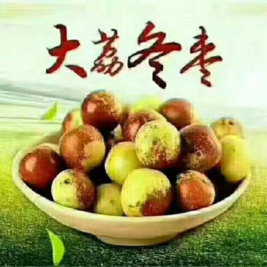 大荔县大荔冬枣大量供应