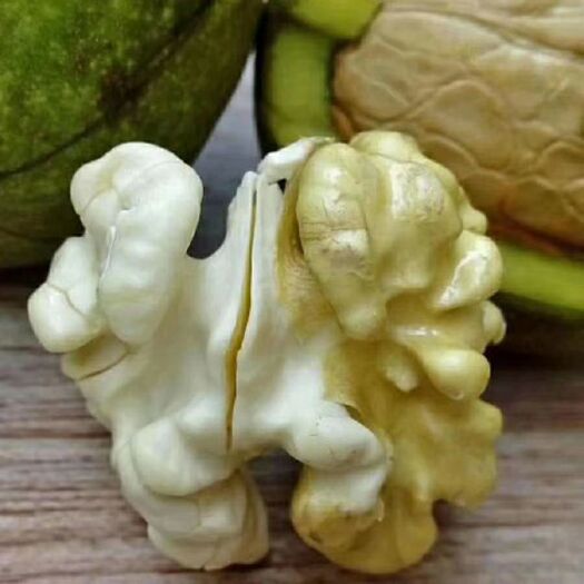 周至县 鲜核桃