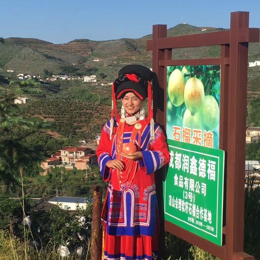 会理市 四川大凉山州 会理石榴，世界石榴，