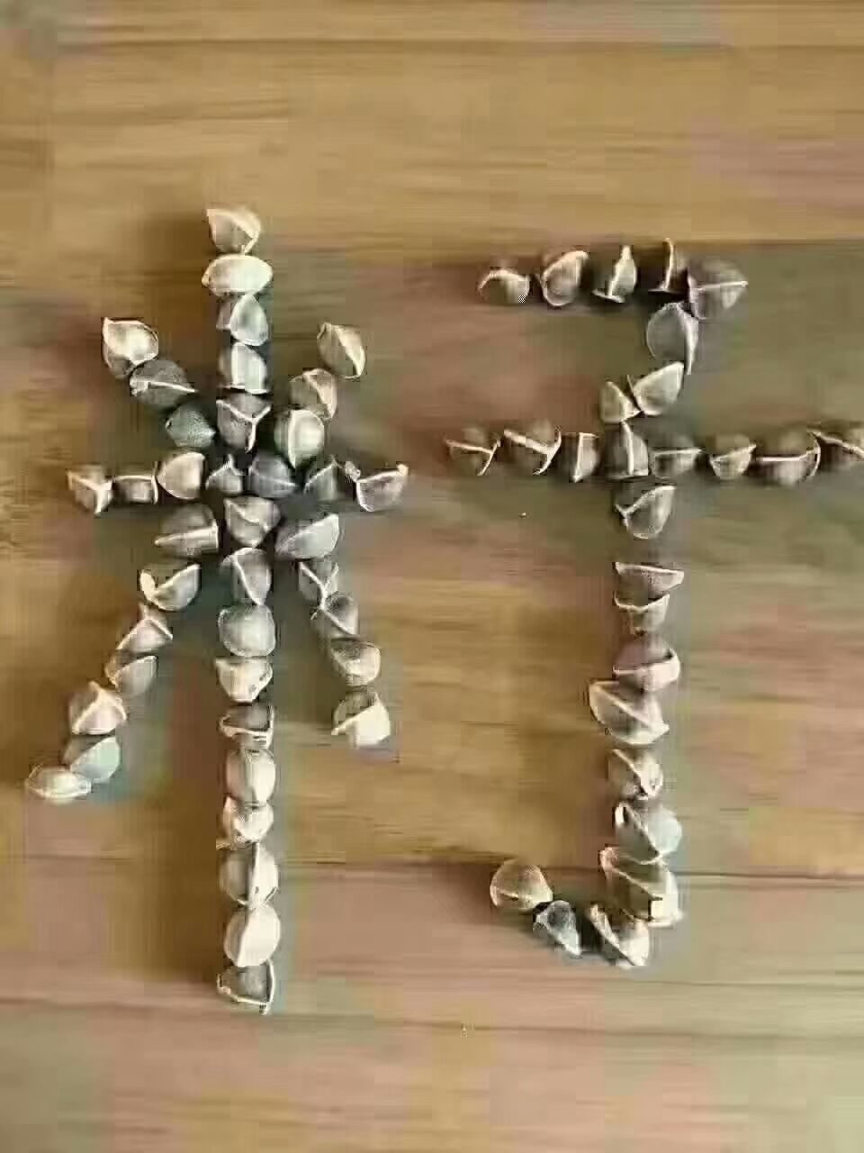 辣木籽 新货 各种规格 批发零售各种中药材