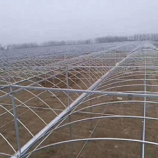 天津双膜骨架 天津恒茂源钢铁有限公司专业生产大棚管