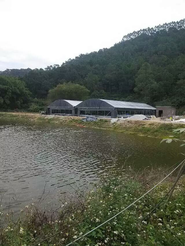 种植大棚
