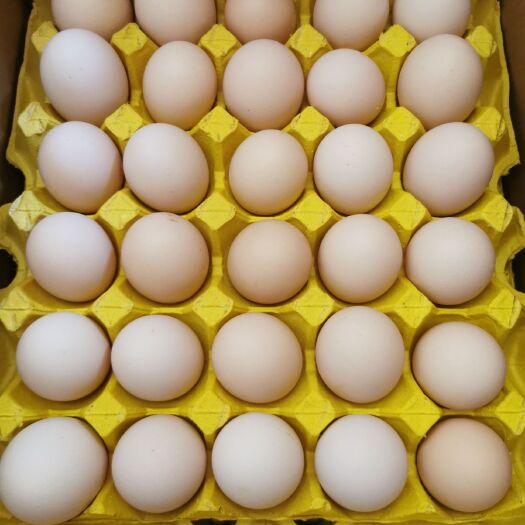 贵阳粉蛋 食用 散装