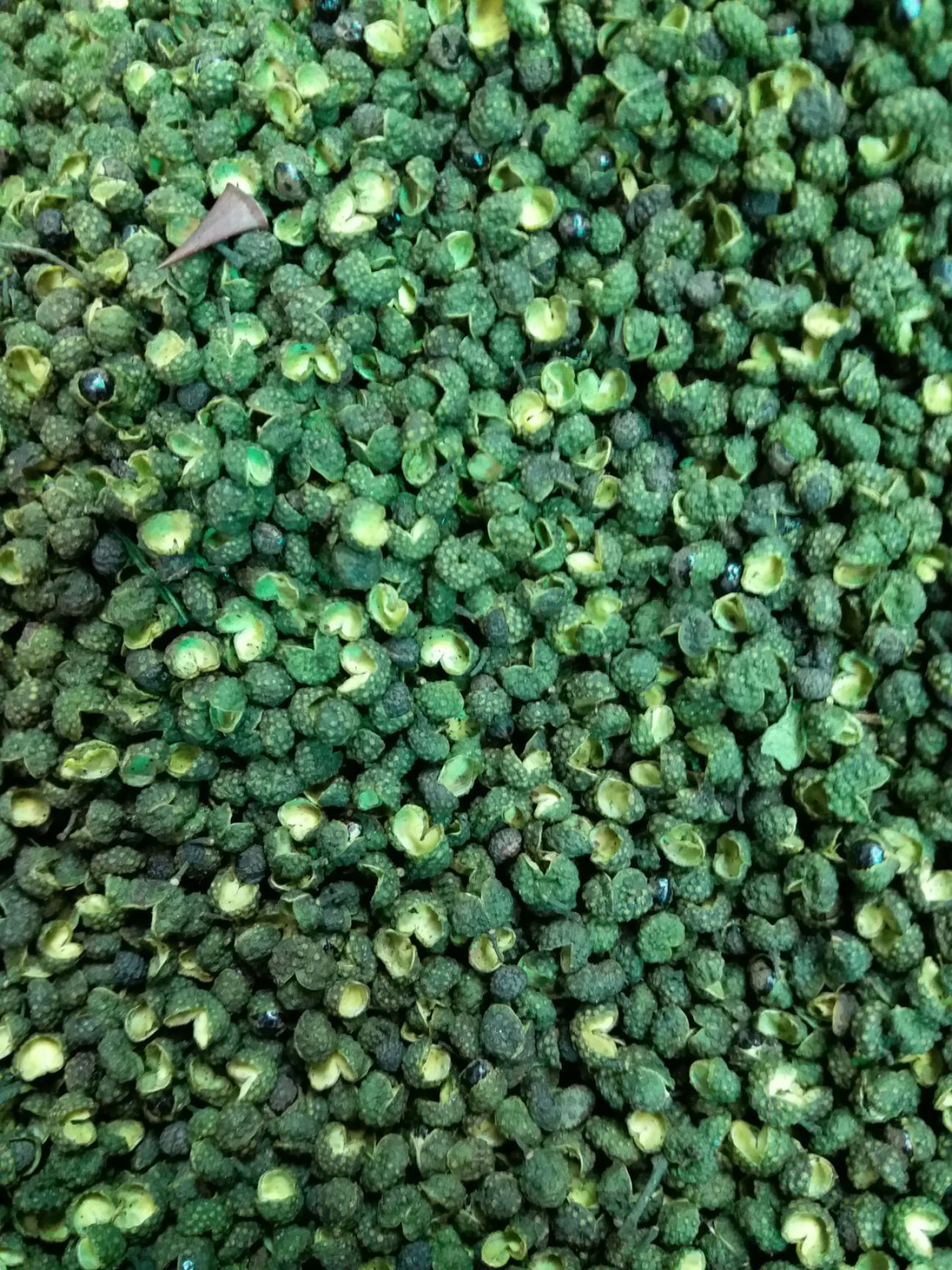 青花椒  批发零售：广西八角/四川麻椒/大红袍