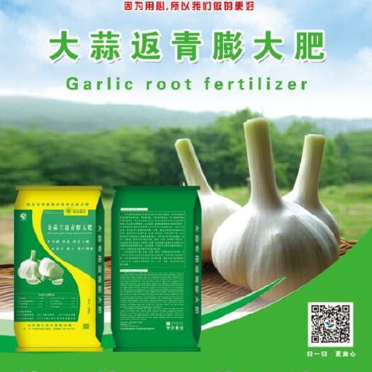 济宁微生物有机复合肥 大蒜返青膨大肥