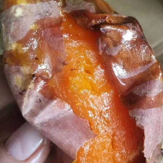 遵化市烟薯25 3两~6两 红皮