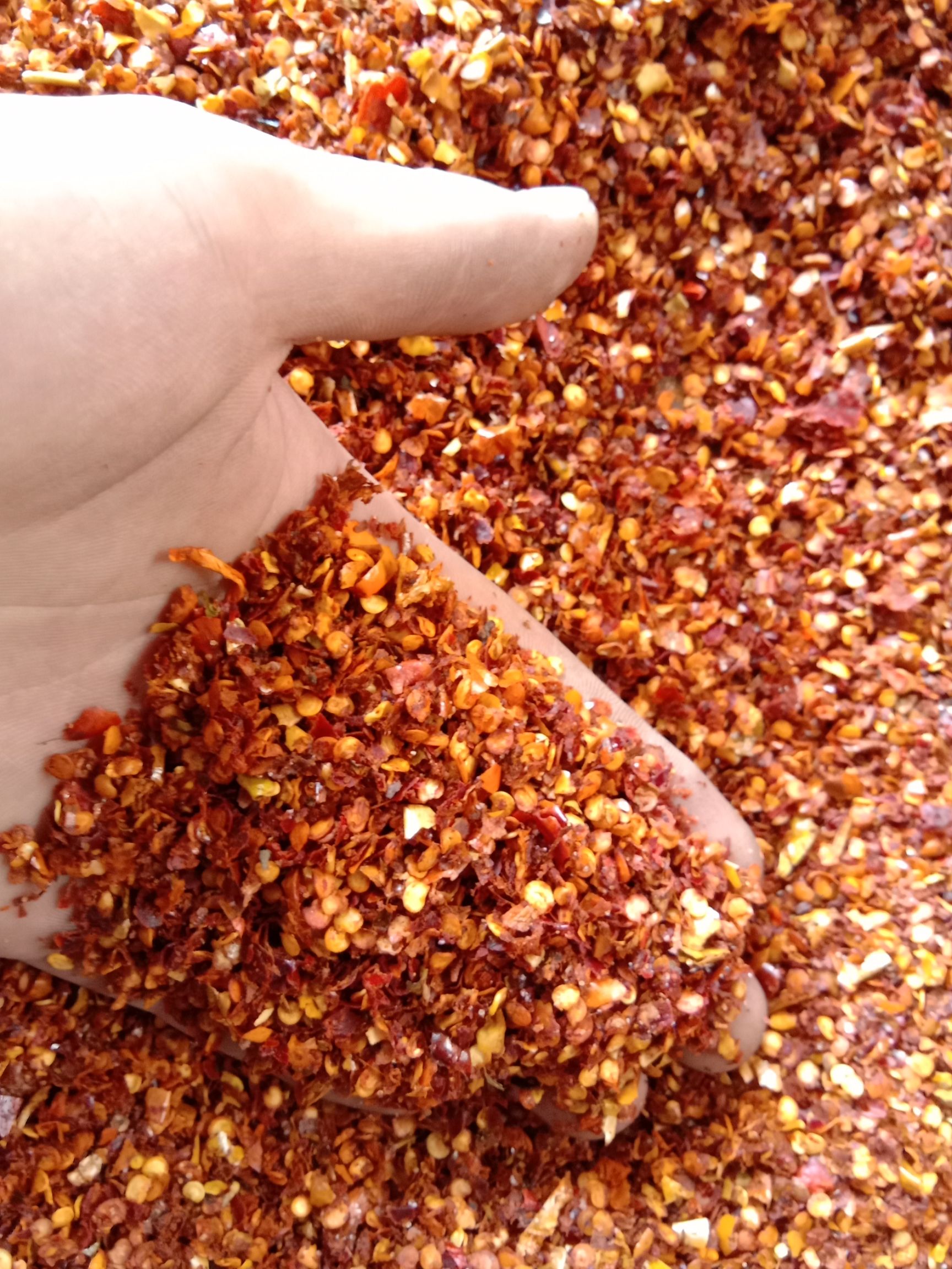 辣椒面 辣椒粗片