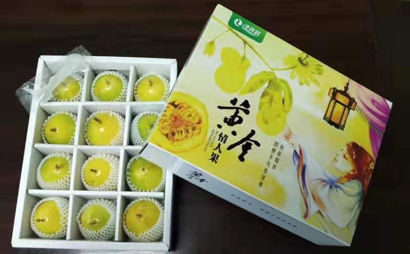 平和县 黄金百香果 芭乐味百香果 黄金果