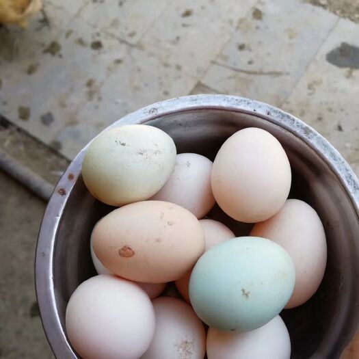 巩义市 天然无公害不添加任何添加剂的绿色食品柴鸡鸡蛋🐔 蛋香四溢