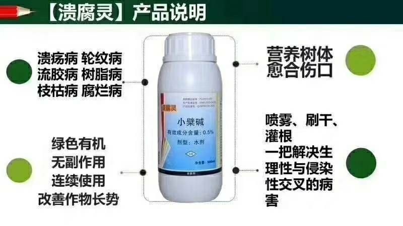 潍坊溃腐灵 中草药制剂无药残猕猴桃溃疡桃树流胶柑橘溃疡专用火龙果溃疡病符