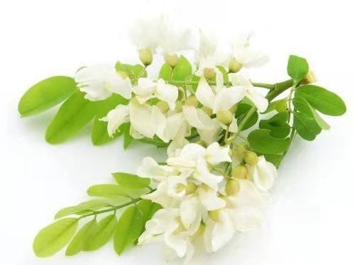 泽州县 太行山上的好蜂蜜