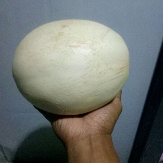 阿勒泰市 我这里有你想的冰糖雪梨甜瓜。