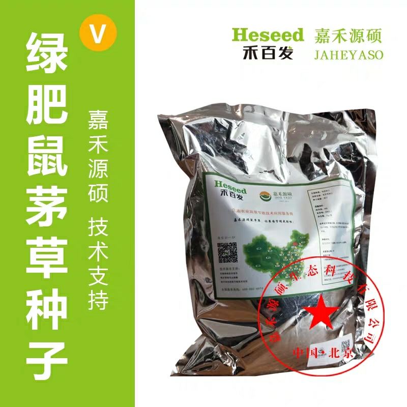  嘉禾源硕鼠茅草种子/鼠茅草种子/绿肥鼠茅草