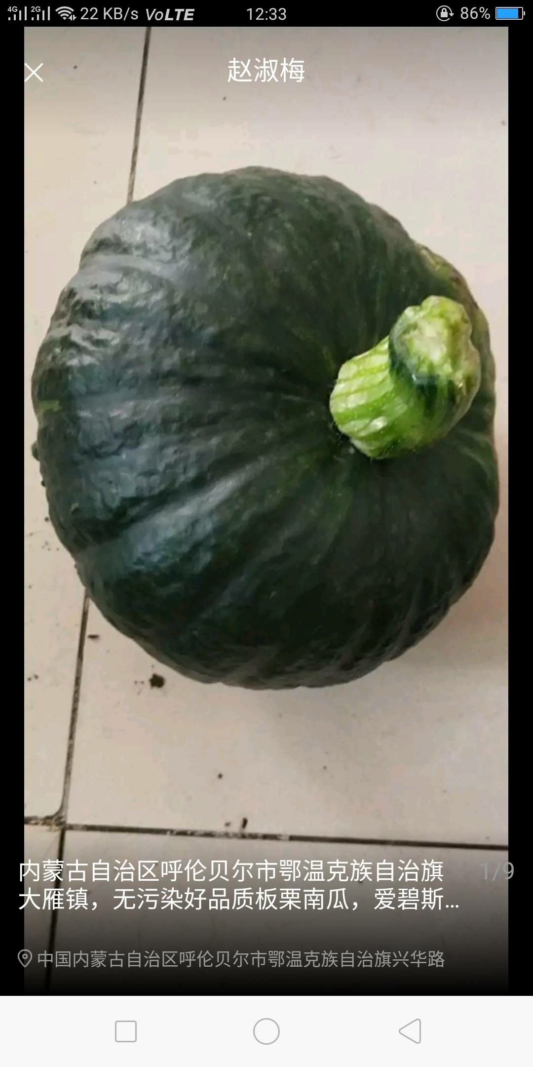 板栗南瓜  板栗，爱碧斯，黑晶