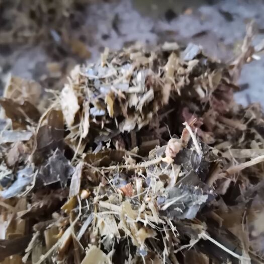 临泉县羊草