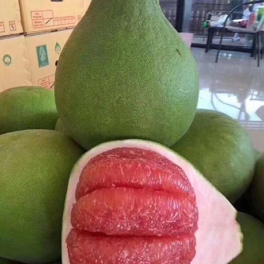 灵山县青柚苗 青皮红心柚子苗