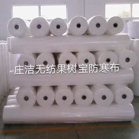 荔浦市防寒布沙糖桔防寒布果树防寒布新工艺改变中间裂开难题