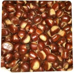  广西平乐（处鼠红）板栗上市啦。生板栗脆口.香甜。