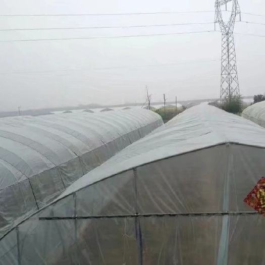 天津种植大棚