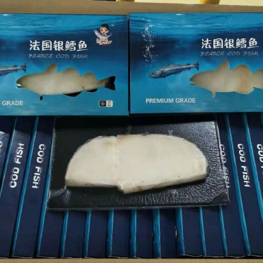 济南淡水银鳕鱼 银鳕鱼