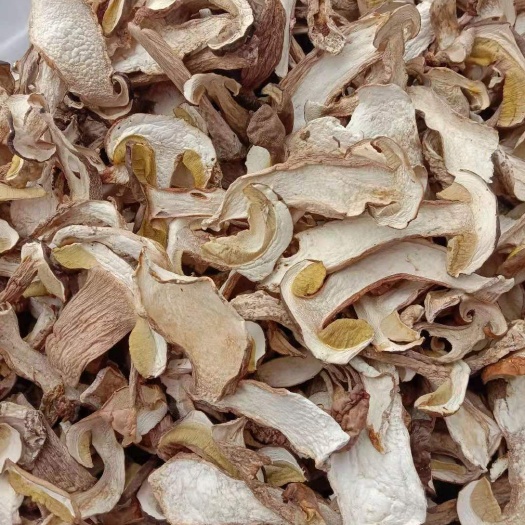 昆明美味牛肝菌 干牛肝菌 野生牛肝菌