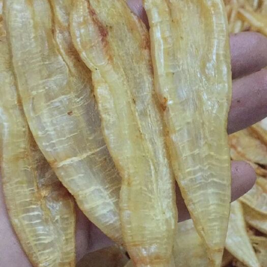 广州鱼胶 80头双背胶