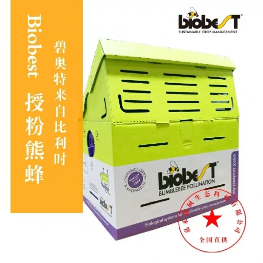 北京 碧奥特授粉熊蜂-熊蜂授粉番茄