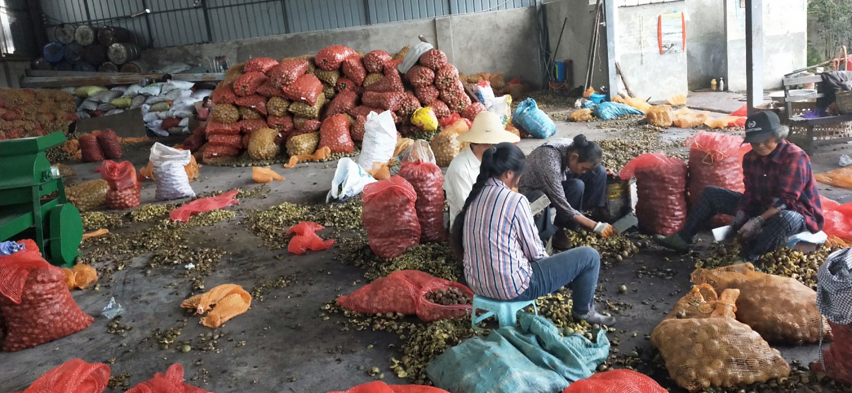  云南凤庆脆皮核桃批发