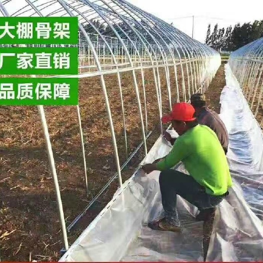 长兴县 厂家直销：，养殖大棚，种植大棚，单体大棚，连体大棚