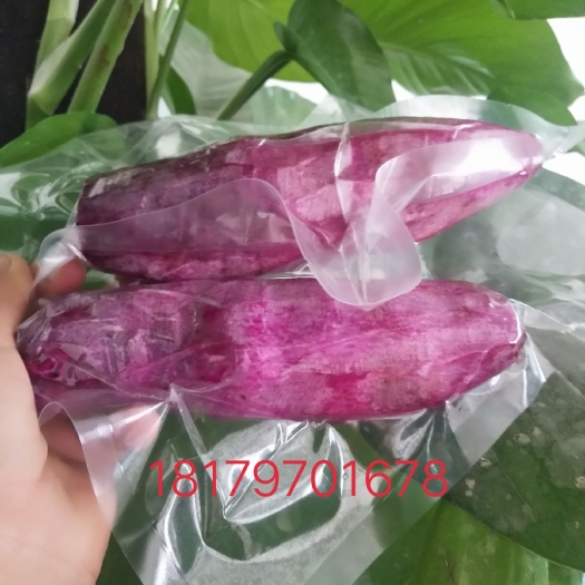  蔬菜之王紫山药