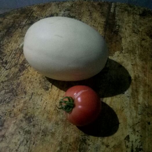  我这里是牧区，羊粪肥料充足，昼夜温差大，有利于甜瓜生长