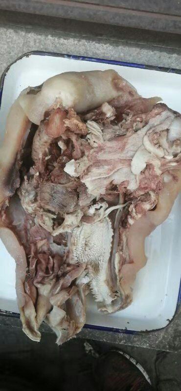 葫芦岛刀削毛、水退毛牛头肉，