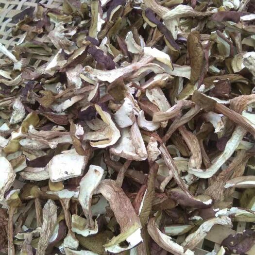 白河县美味牛肝菌  牛肝菌