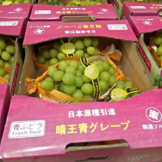 澧县阳光玫瑰