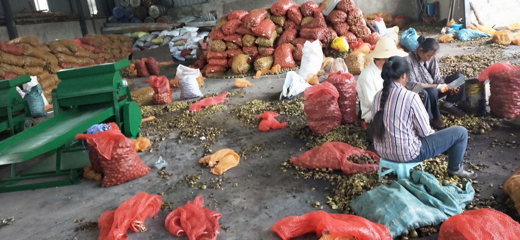  云南凤庆脆皮核桃批发