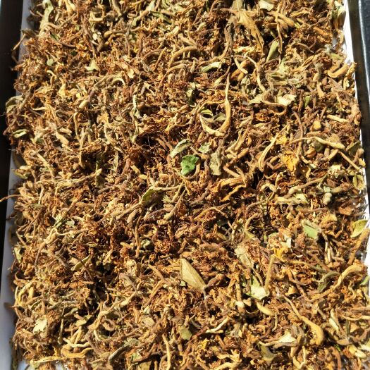 随州湖北随州金银花，大毛花