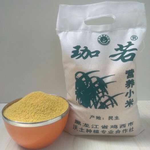 鸡西黄小米  龙江小米 黑龙江小黄米，宝宝成长，初乳妈妈，家人健康米。