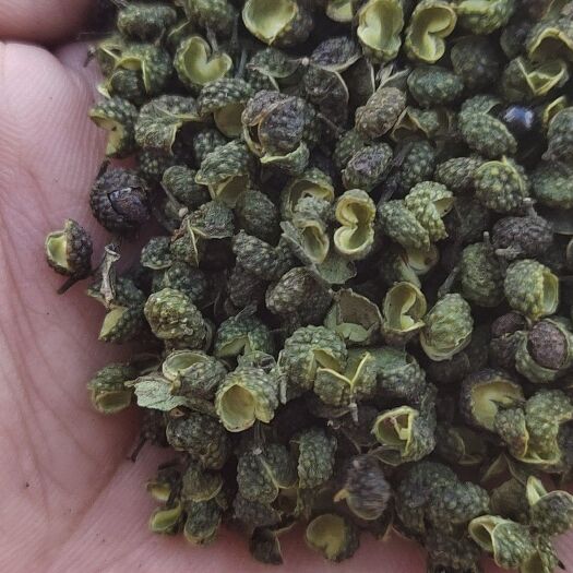 鹤庆县江津花椒 江津特级青麻椒！欢迎下单！