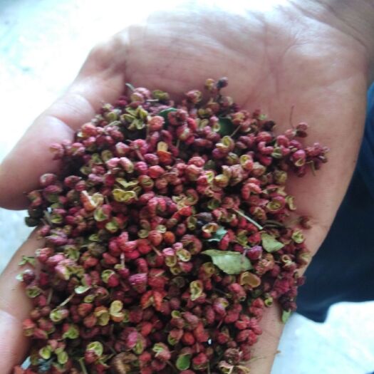 富平县红花椒 一级 干花椒
