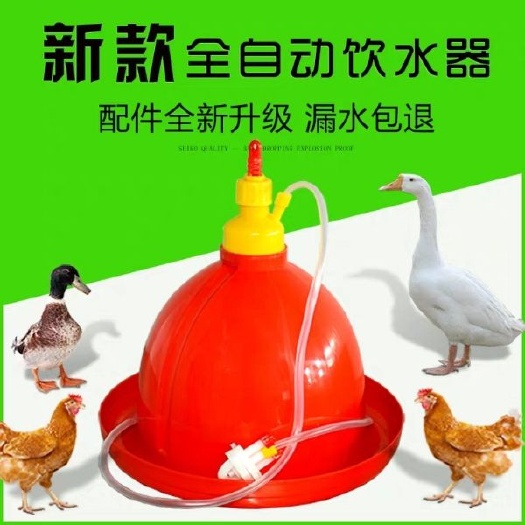 饮水设备 养殖养鸡设备用品普拉松自动饮水器鸡鸭鹅用喂水器鸡场