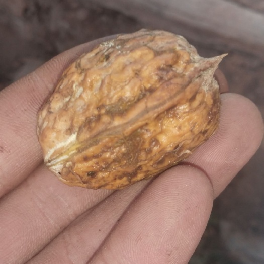 西昌市薄皮核桃 30mm以上 去皮 散装