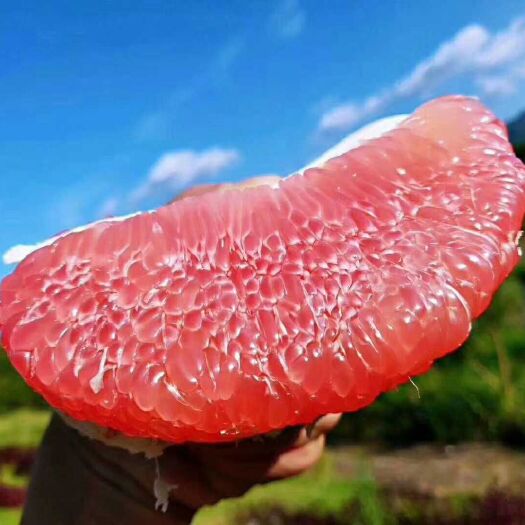梅州红心柚  红肉蜜柚/三红柚随机红肉柚包邮5斤/10斤一件代发