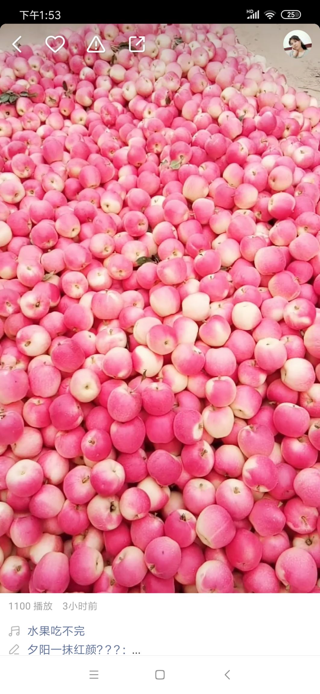  金世纪苹果以开园了，有品尝鲜果的朋友请下单噢！