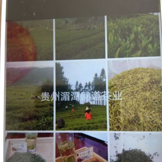 湄潭县湄潭翠芽 天下第一壶