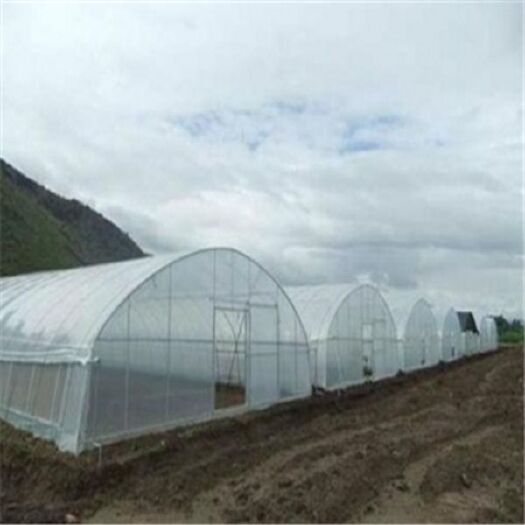 沭阳县 种植大棚