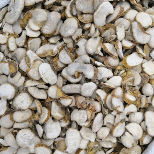 亳州无硫 贝母片 象贝 大贝片 片子 新货 各种中药材