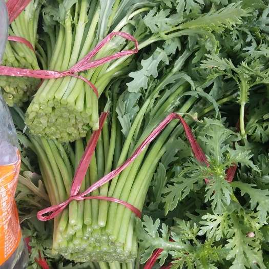 天镇县 茼蒿冰草