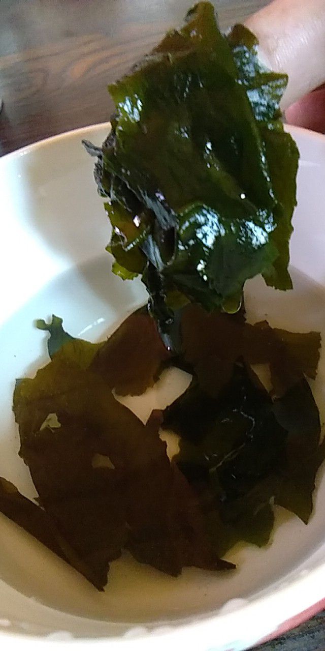 干裙带菜