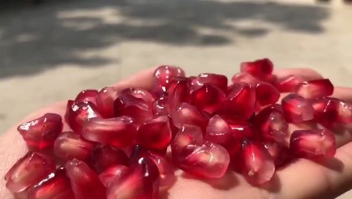 突尼斯软籽石榴