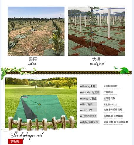 防草布 地膜除草布地布